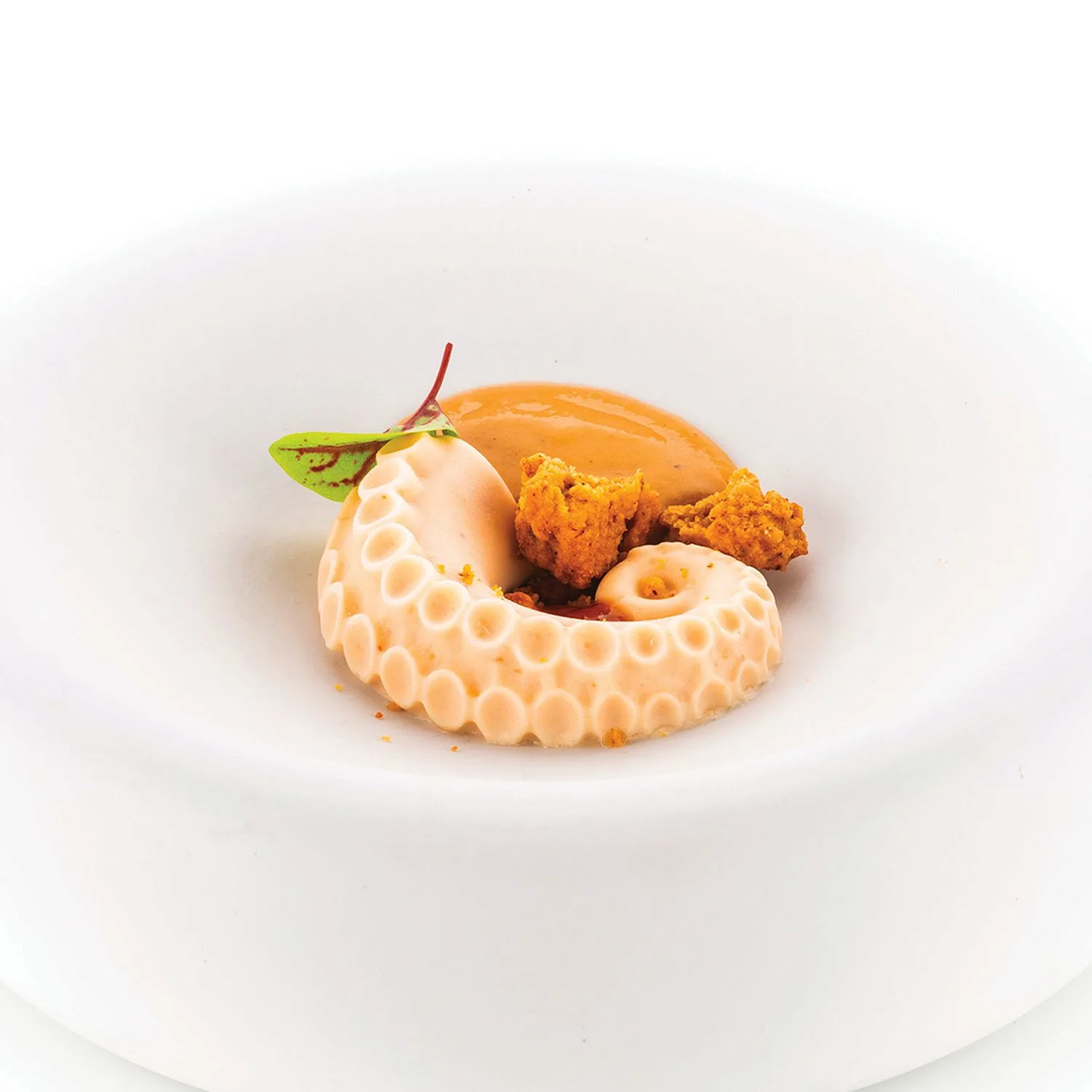 silikomart-polpo-20-siliconen-patisserievorm-12-vaks_2webp