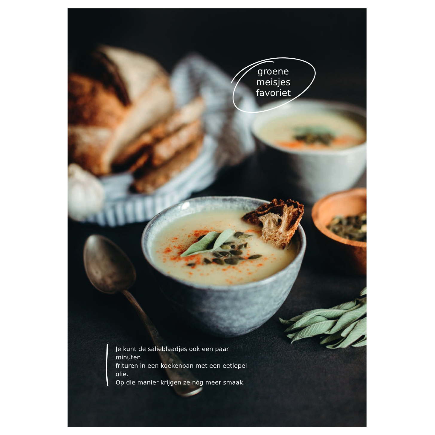 de-groene-meisjes-vegan-voor-iedereen