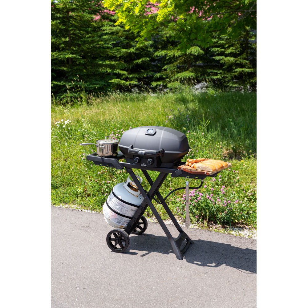 napoleon_travelq_285_portable_propane_gas_grill_lifestyle_04.jpg