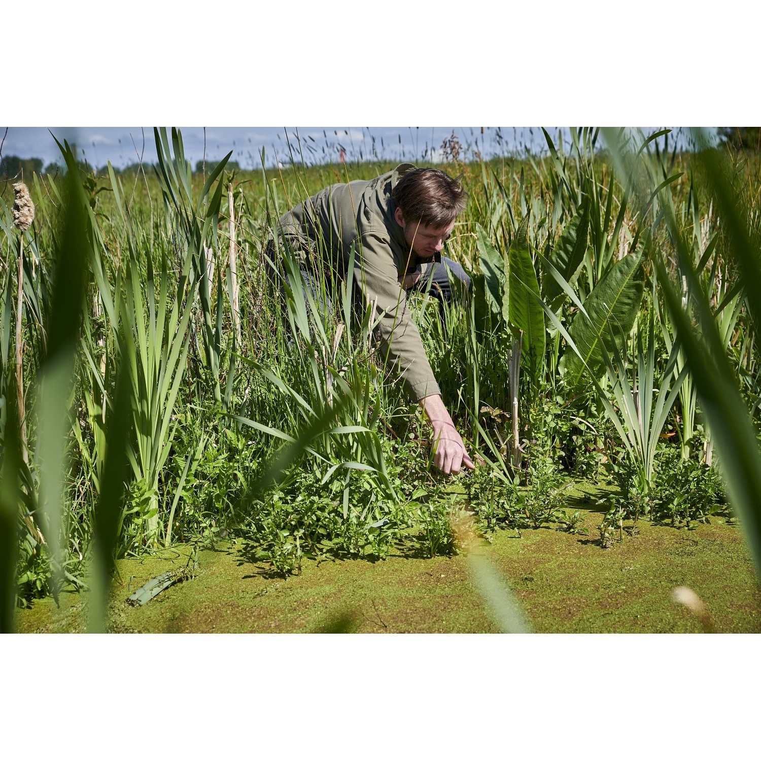 fond-kookpunt-diner-wild-van-de-horizon-11-december