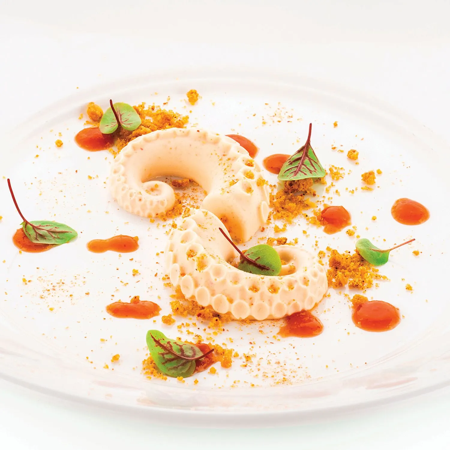 silikomart-polpo-20-siliconen-patisserievorm-12-vaks_5webp