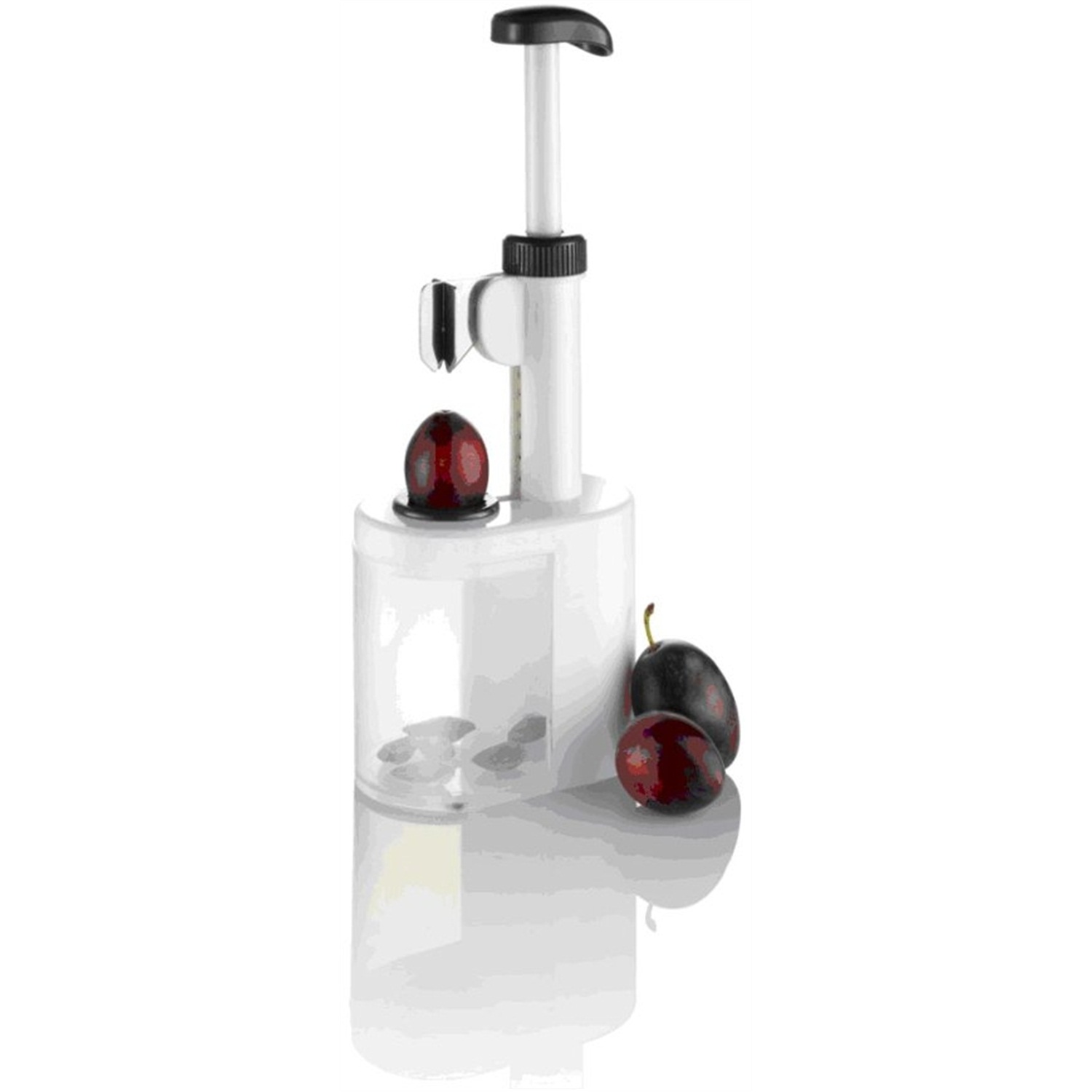 westmark prunus pruimontpitter