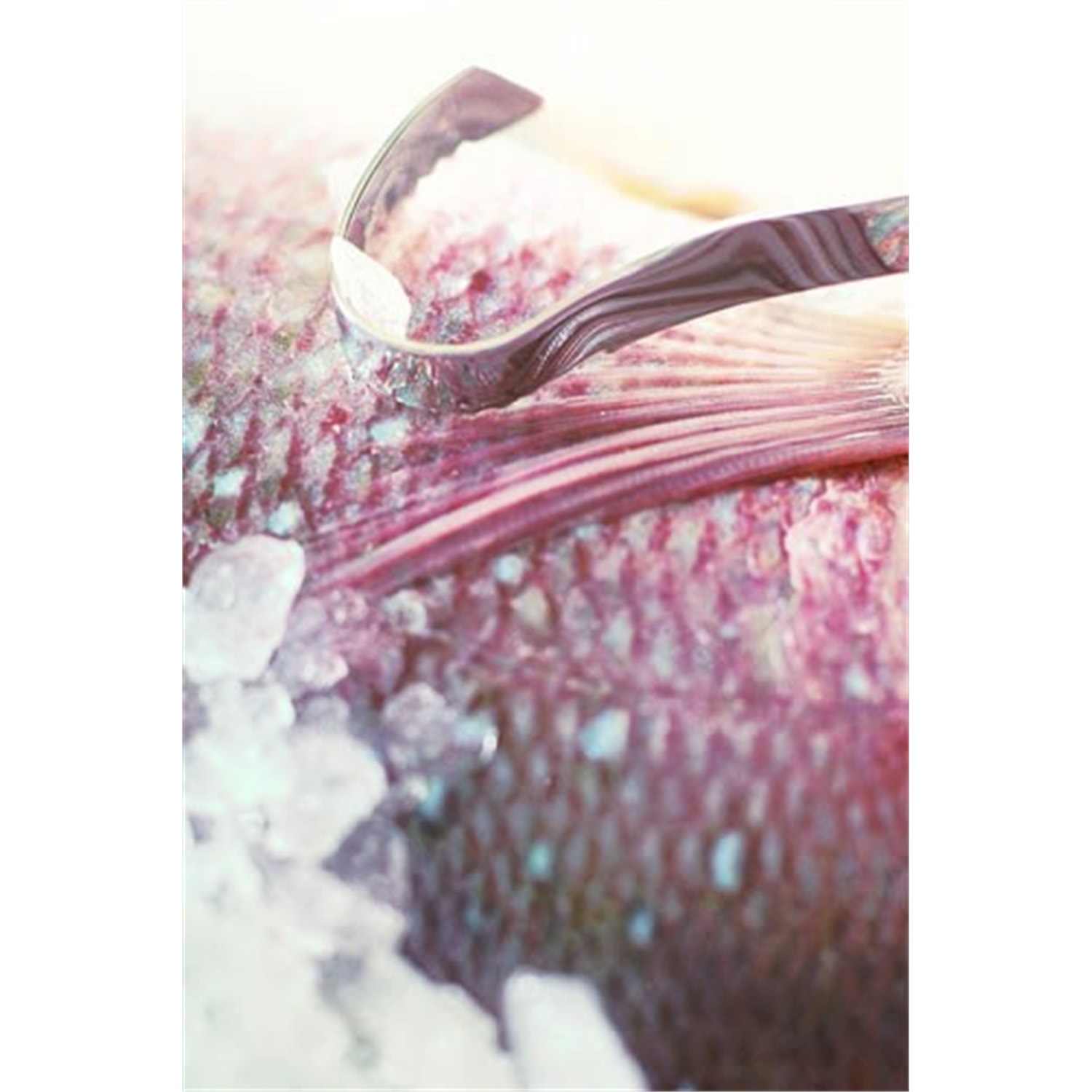 rosle-visontschubber-21cm