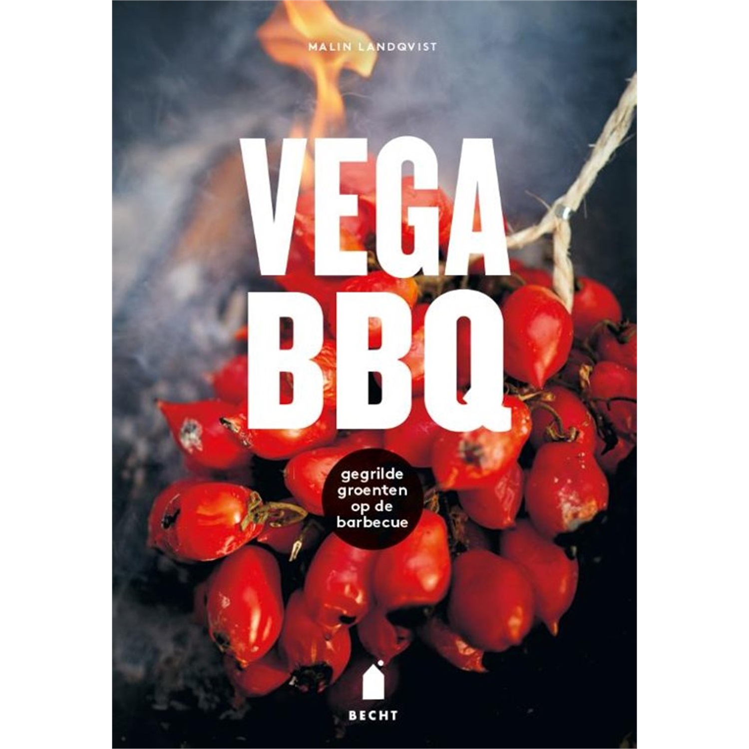 vega bbq