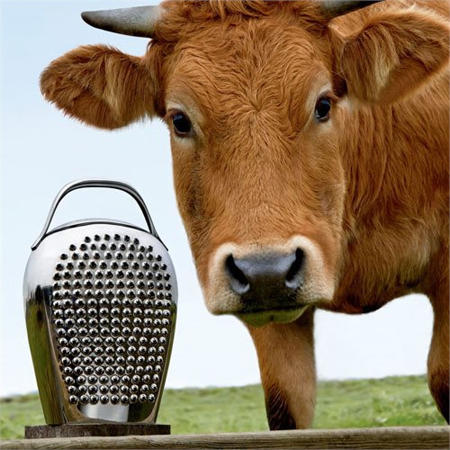 alessi-cheese-please-kaasrasp-chb02-rvs