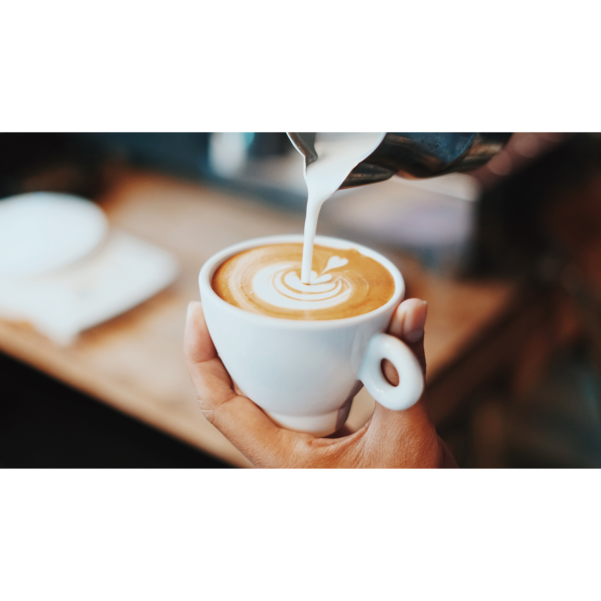 workshop-barista---cappuccino