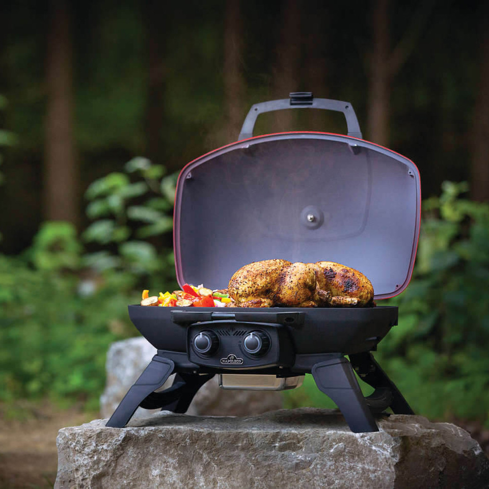 advies-bbq-welk-type-bbq-napoleon-travelq