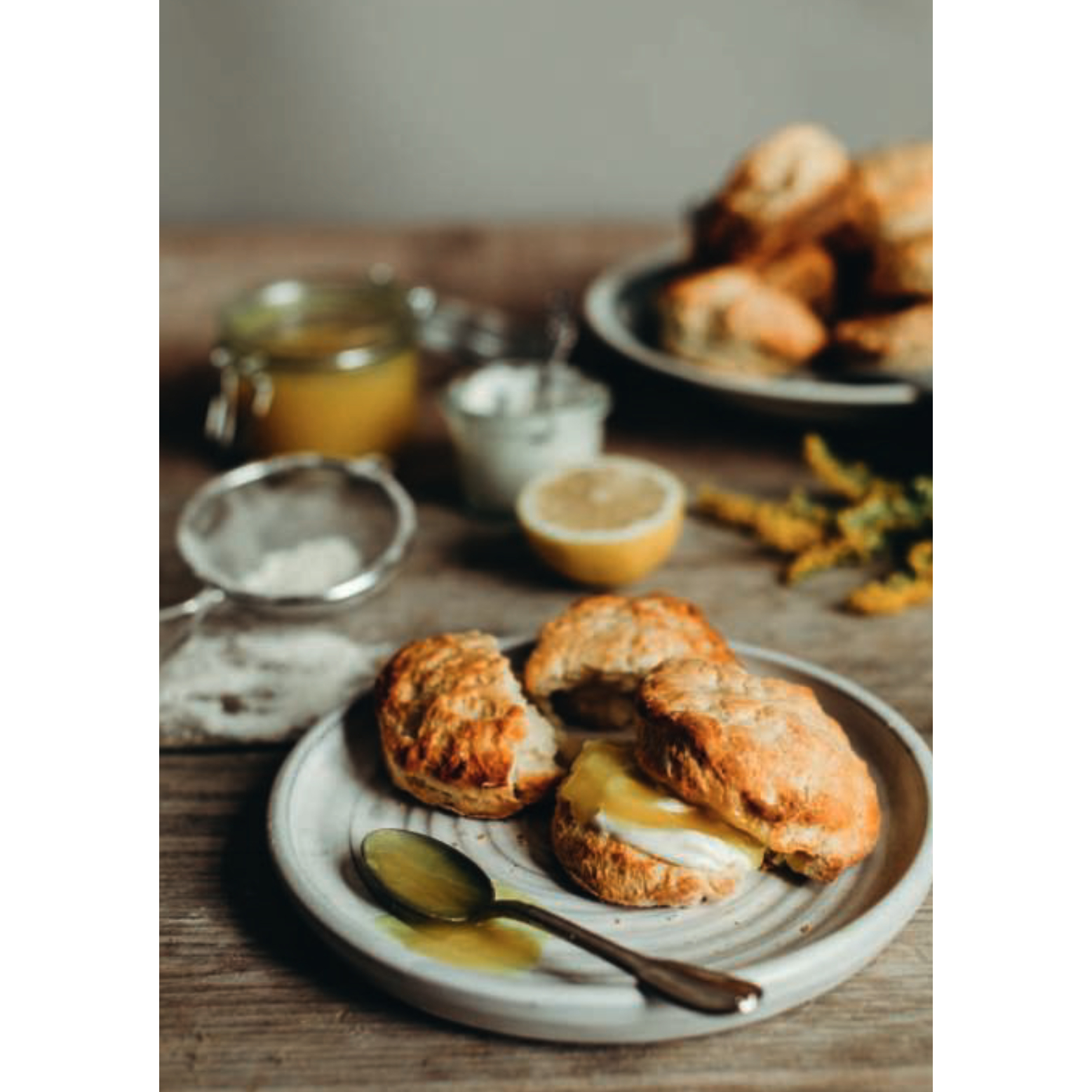 de-groene-meisjes-vegan-voor-iedereen