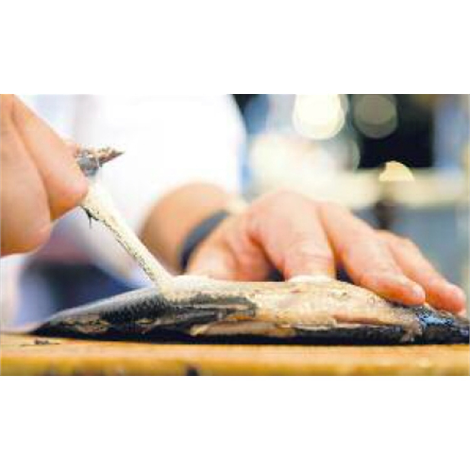 robert-herder-function-haringkaakmes-46cm-carbonkunststof-blauw