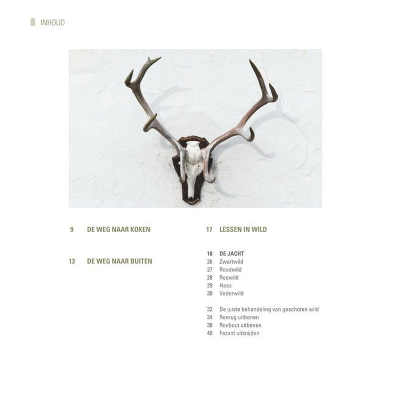 wild-130-inspirerende-recepten