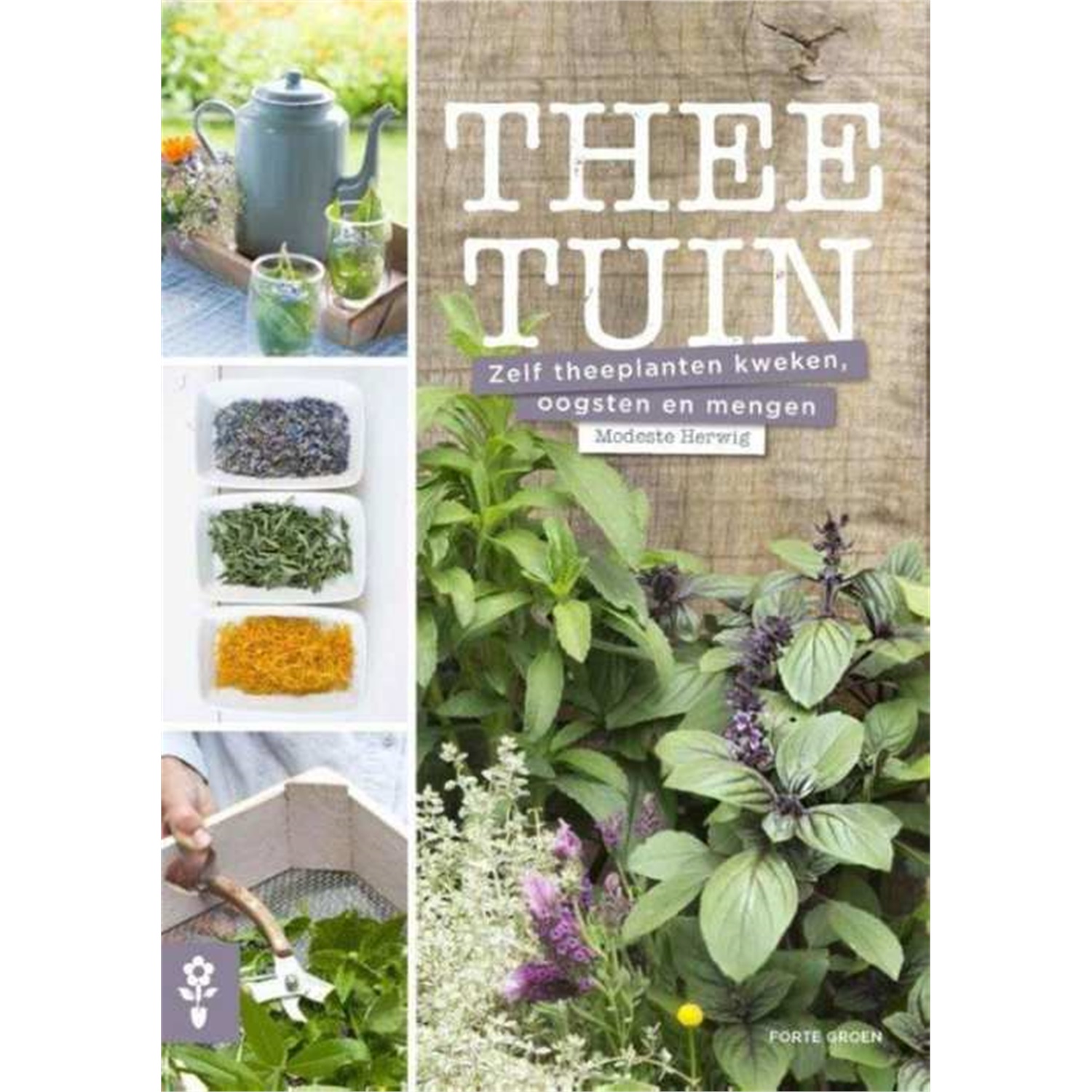 thee tuin