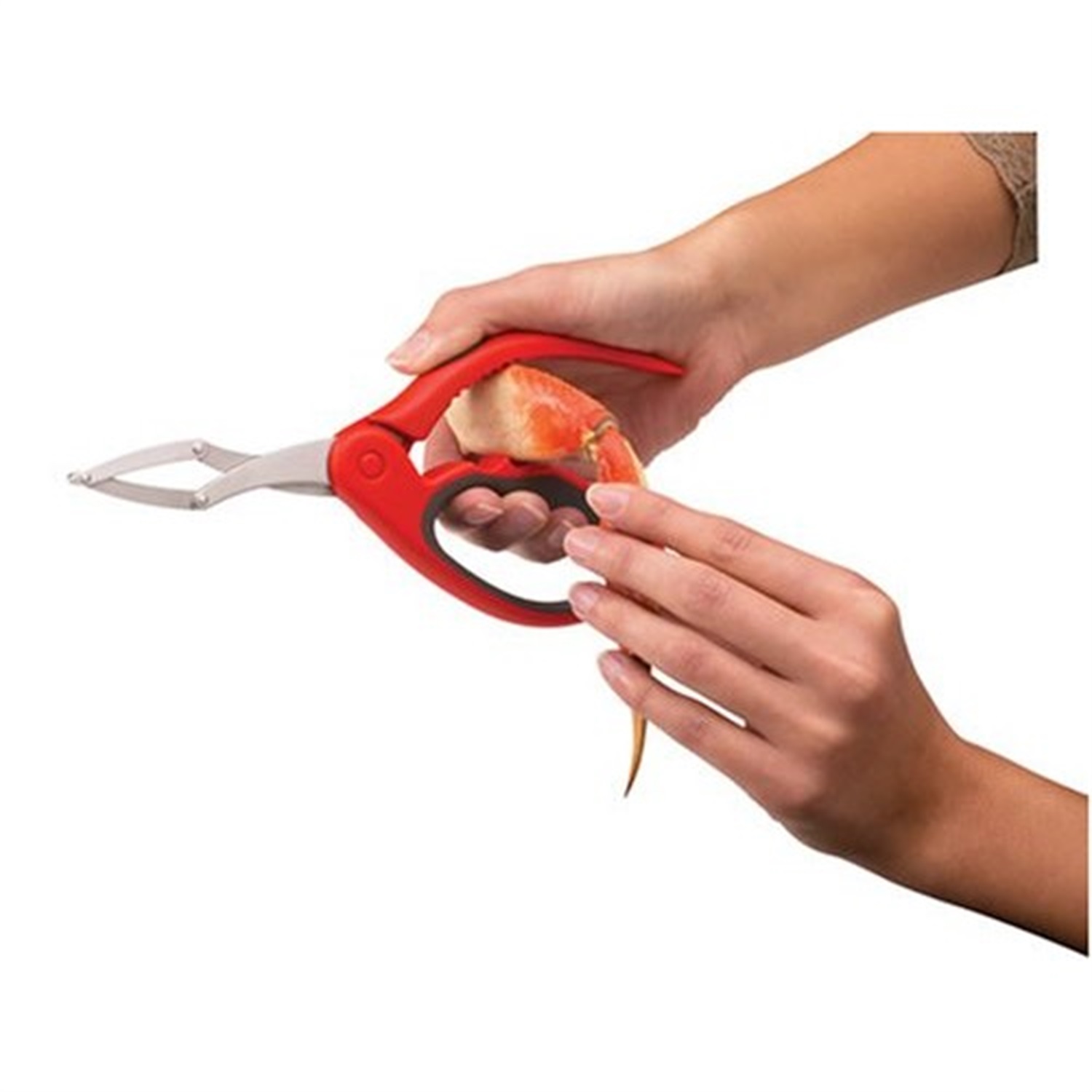 chefn-wisecracker-krabtang-rood