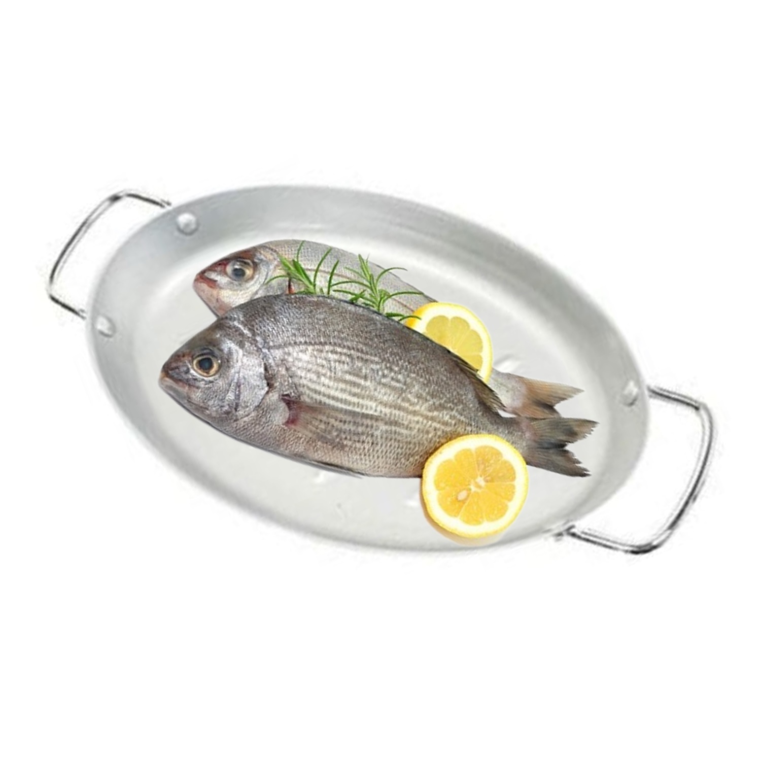 bastard-vispan-39x29cm