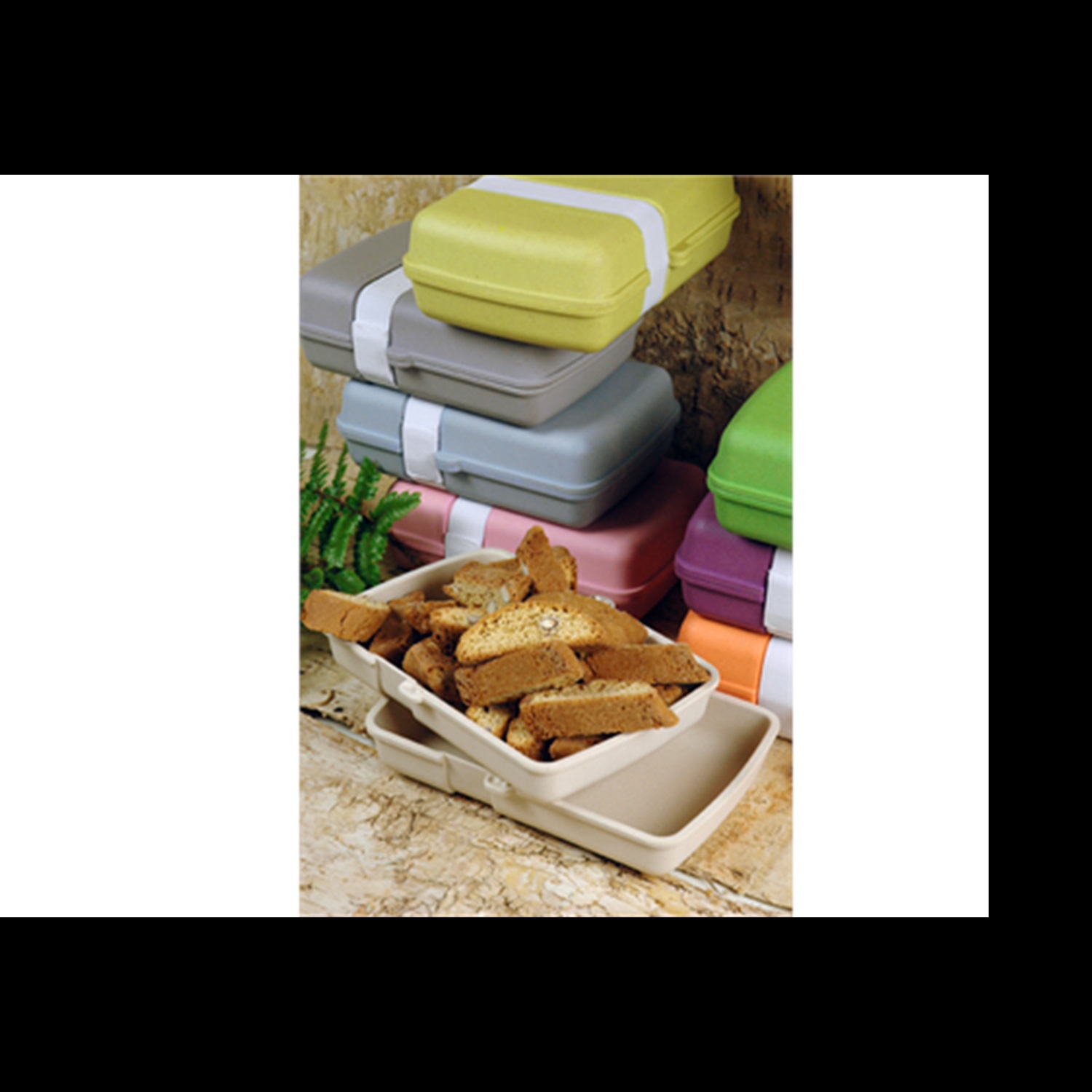 zuperzozial-lunchtime-lunchbox-wasabi-green