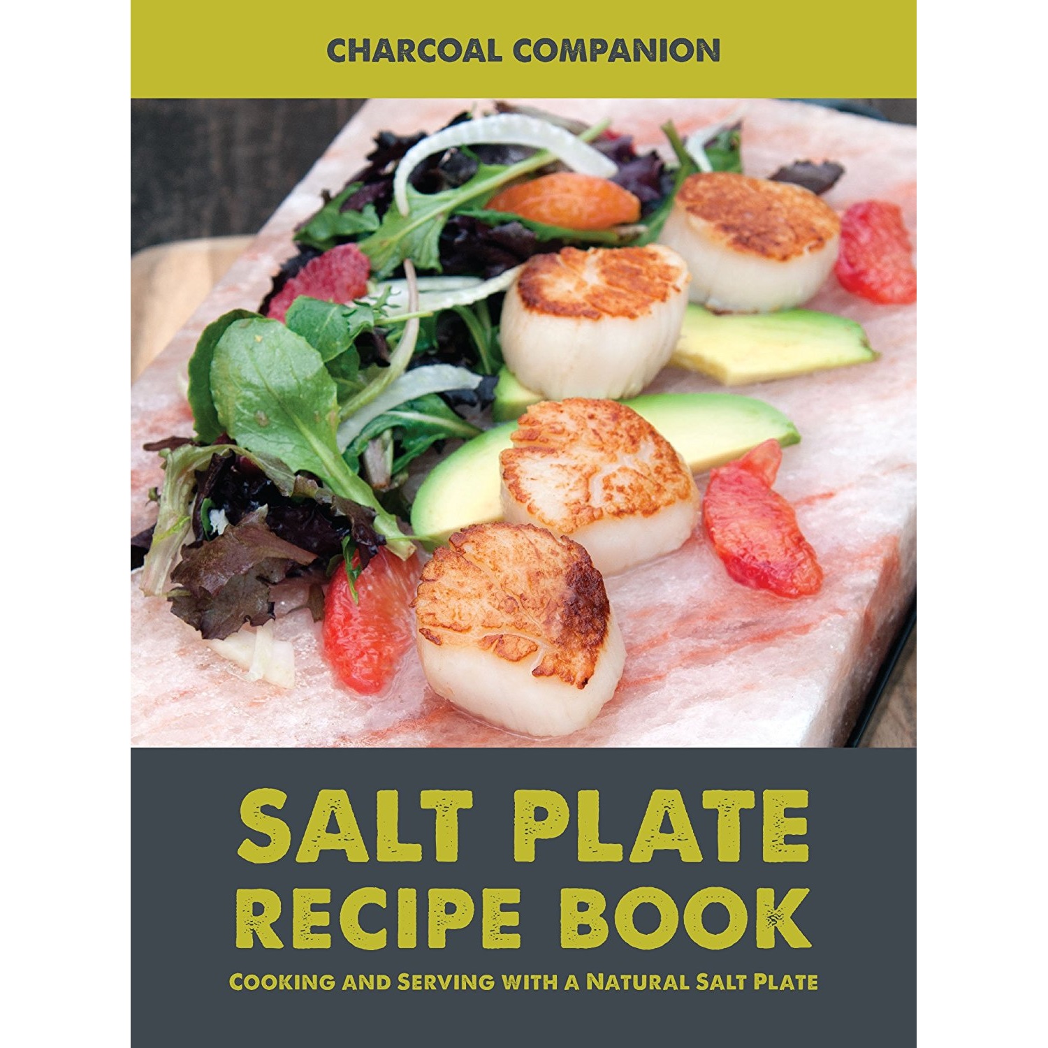 charcoal-companion-salt-plate-recipe-book-cc6057