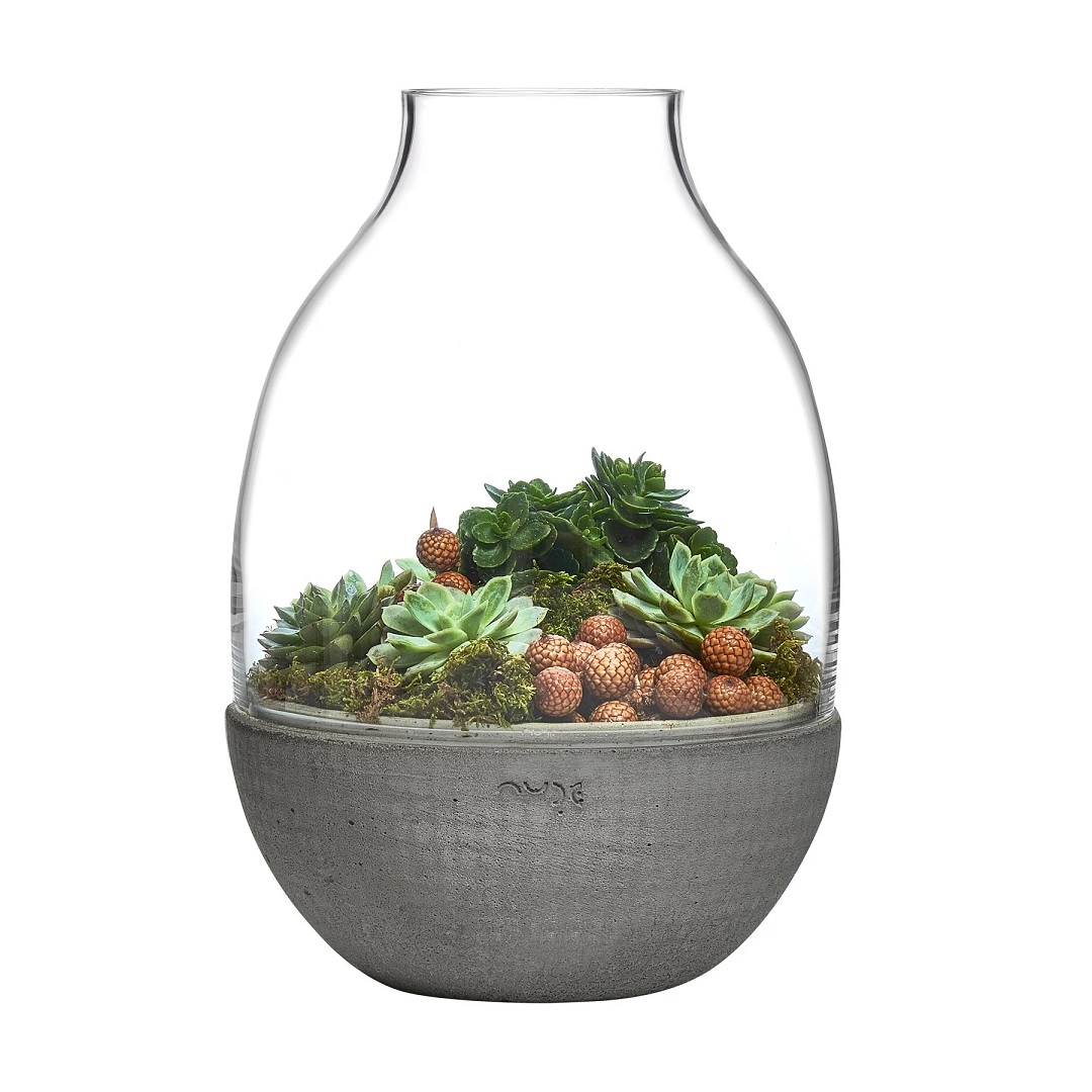 nude-eden-terrarium-o226cm