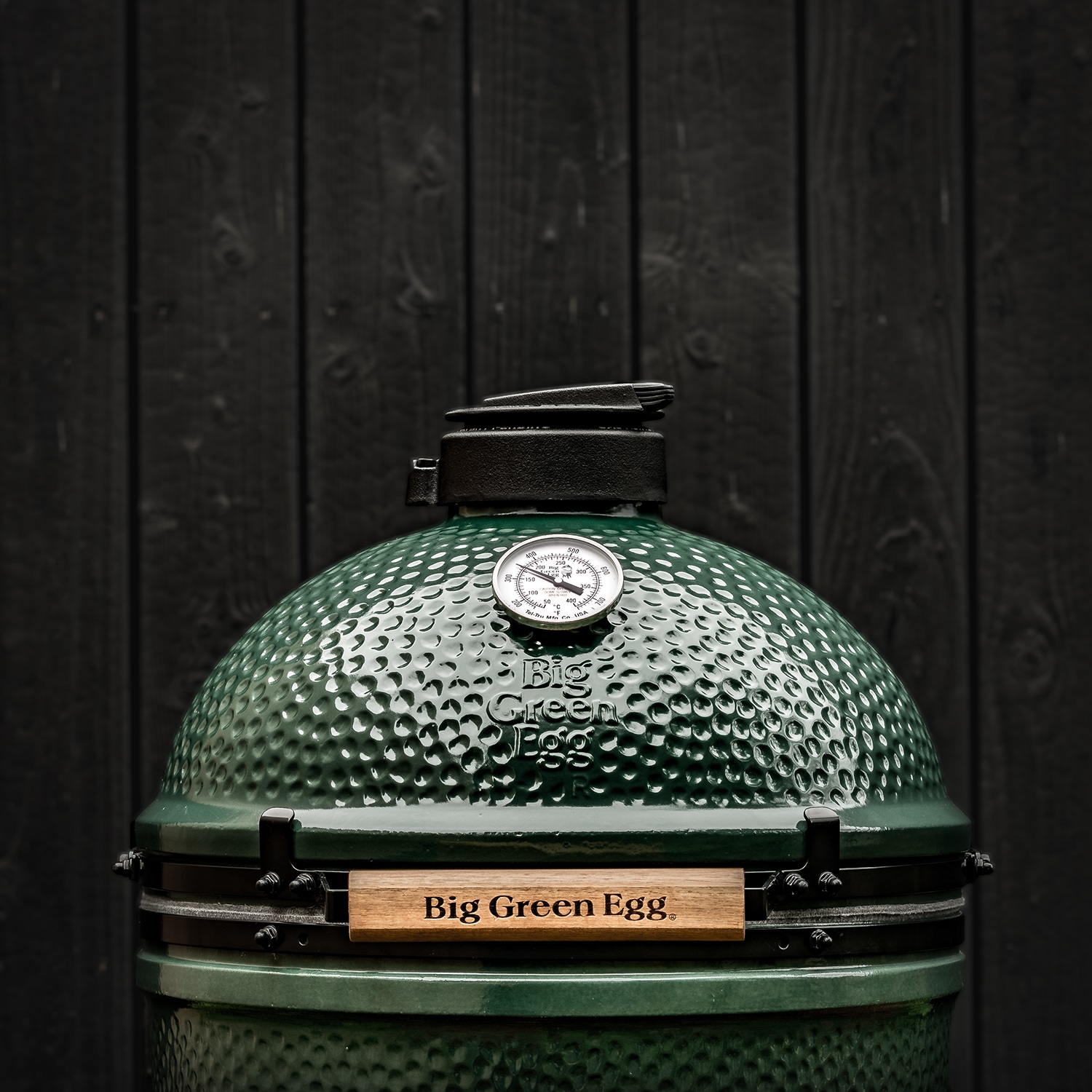 big-green-egg-large-houtskoolbarbecue-met-integgrated-nest-handler-acacia-egg-mates-en-hoes