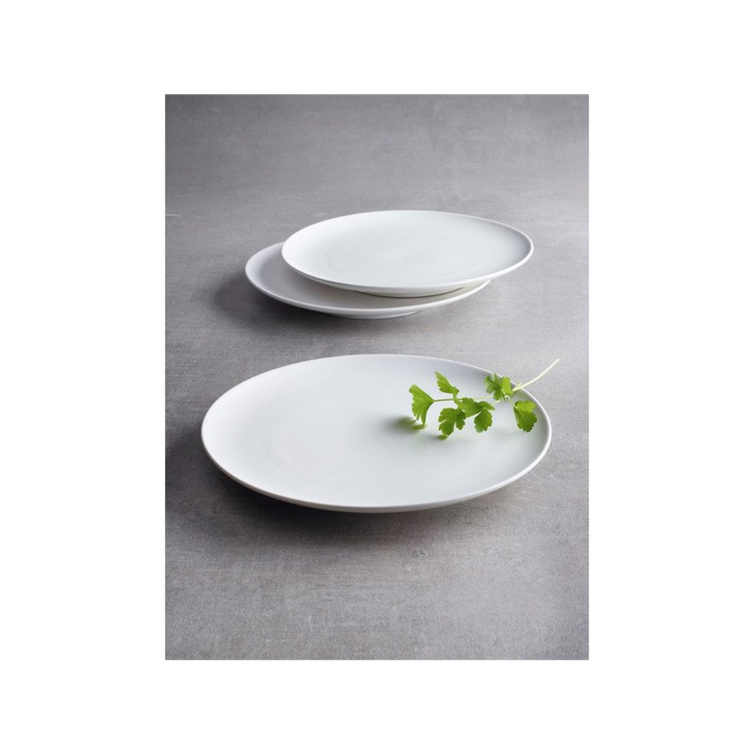 sanodegusto-dinerbord-koud-27cm-seashell-white