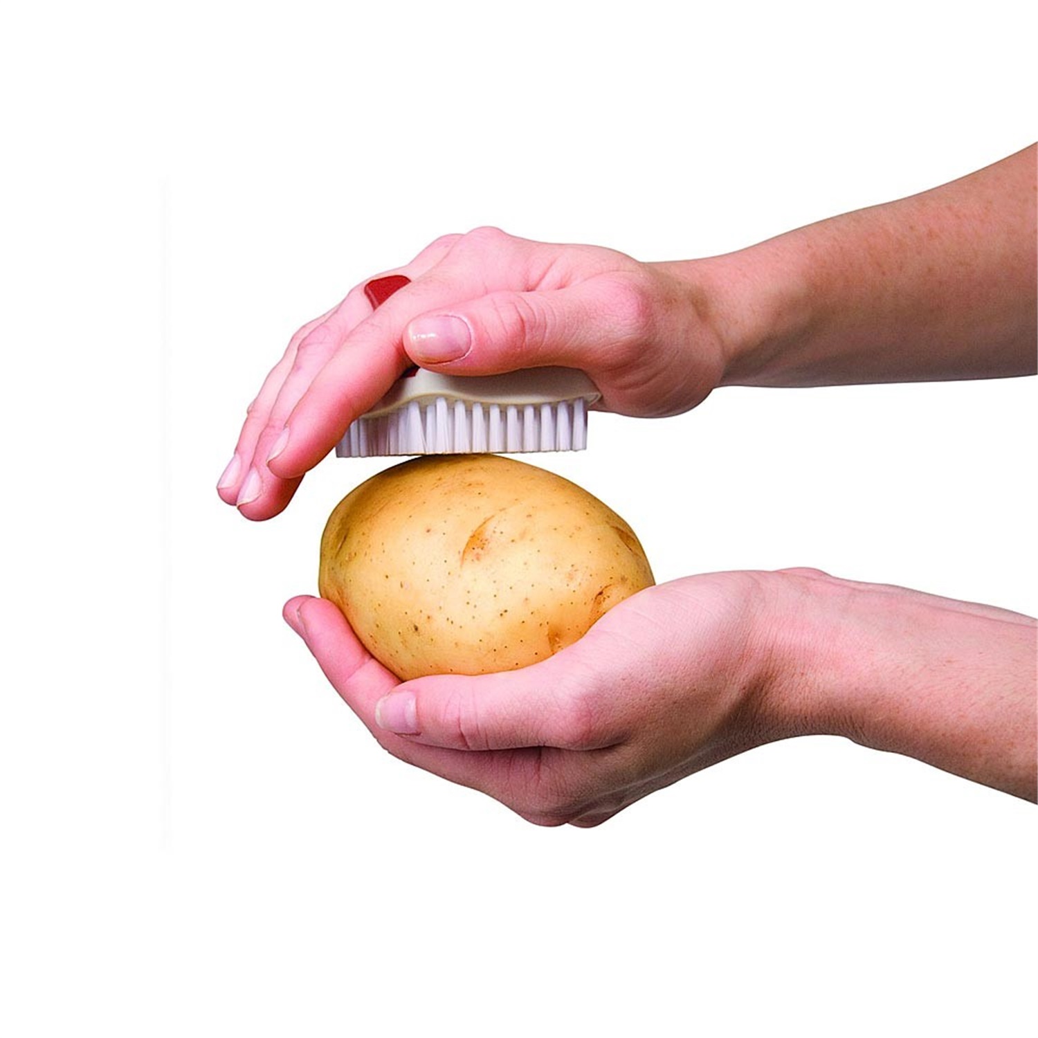 chefn-palmbrush-groenteborstel-groen