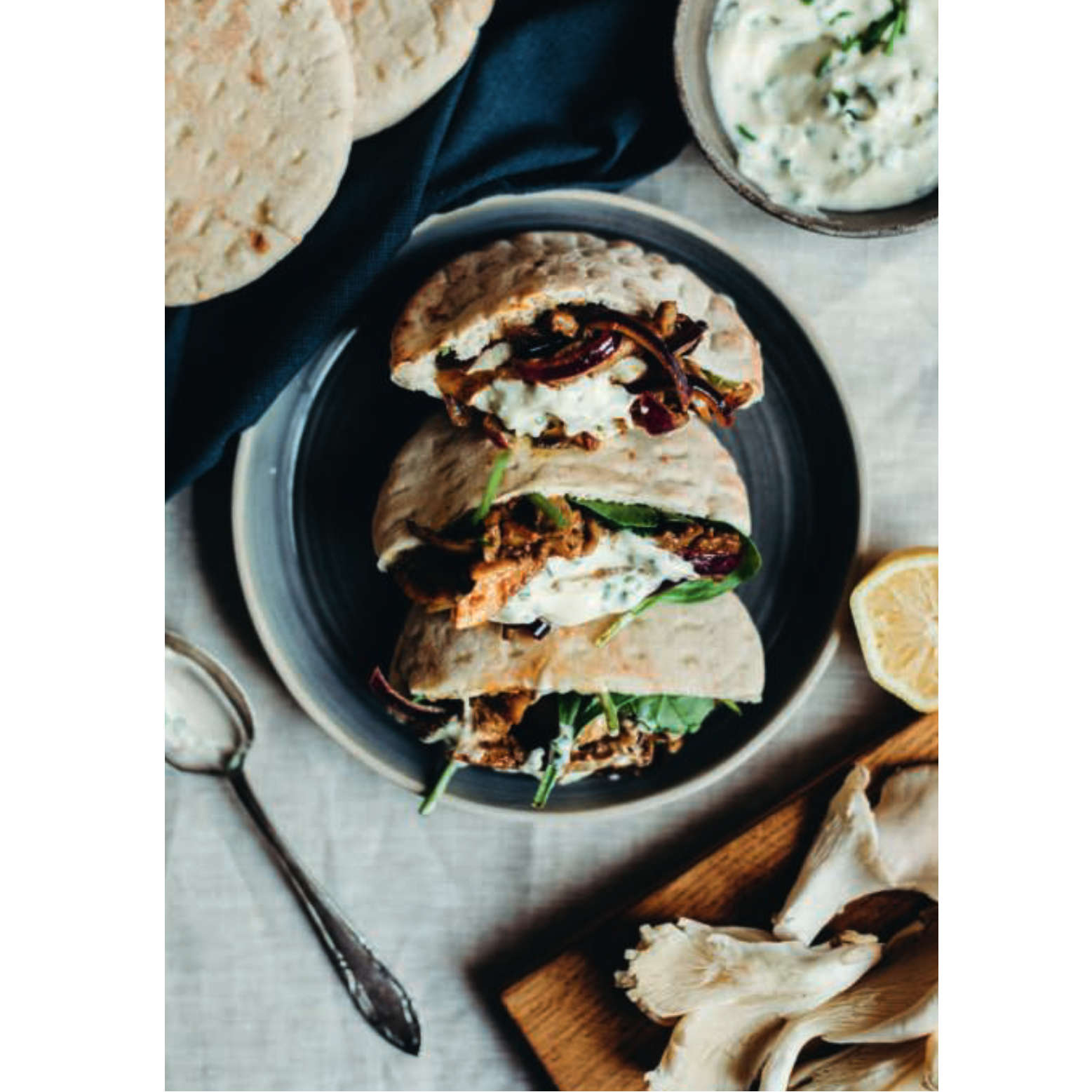 de-groene-meisjes-vegan-voor-iedereen