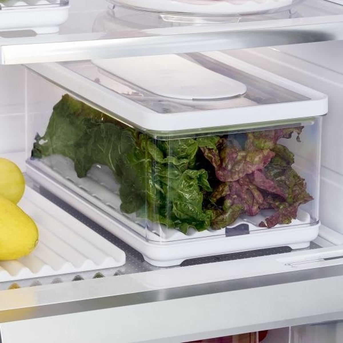 idesign-vershouddoos-317x19cm