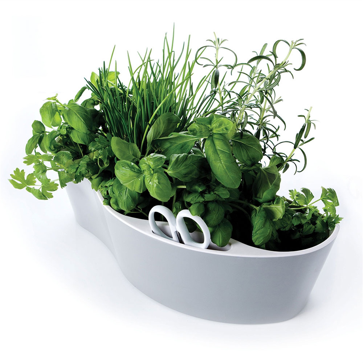royal-vkb-herb-garden-kruidenbak-wit