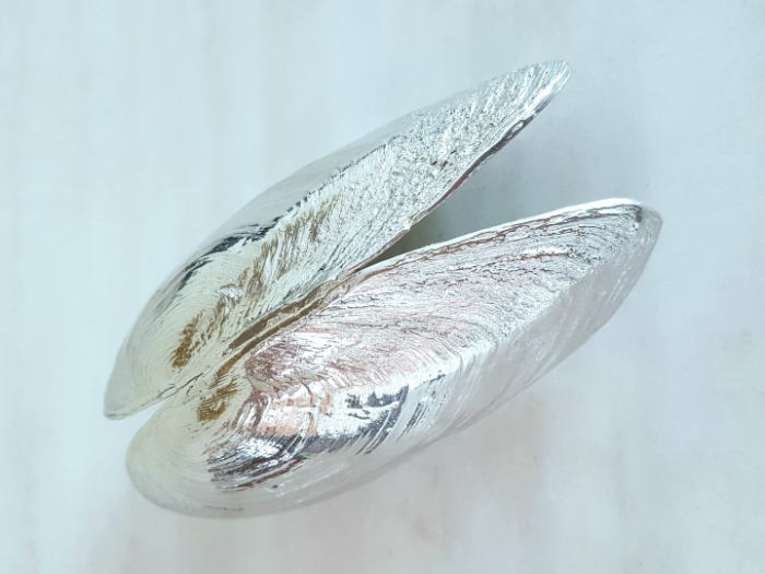 anovi-zeeuwse-mosselschep_2jpeg