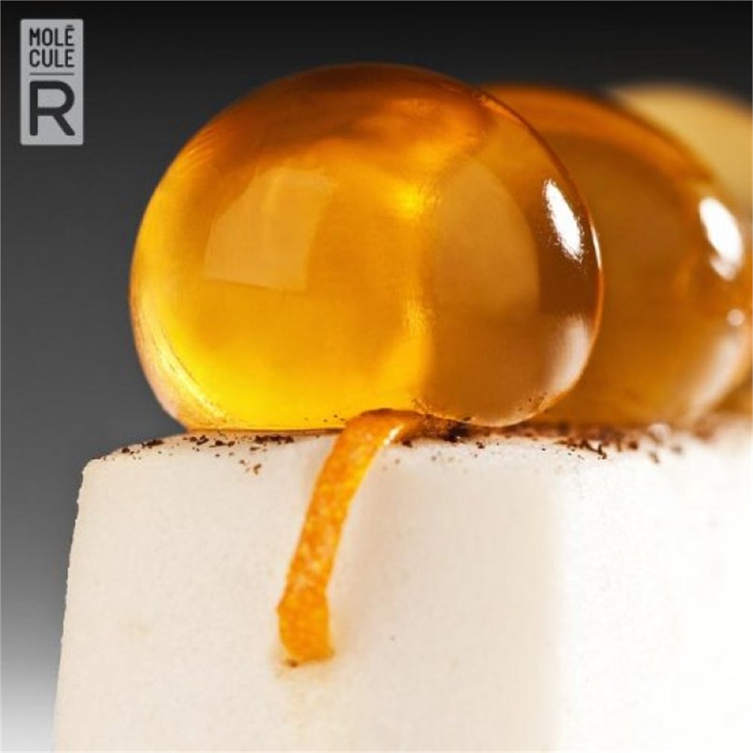 molecule-r-cuisine-r-evolution-molecular-gastronomy-kit