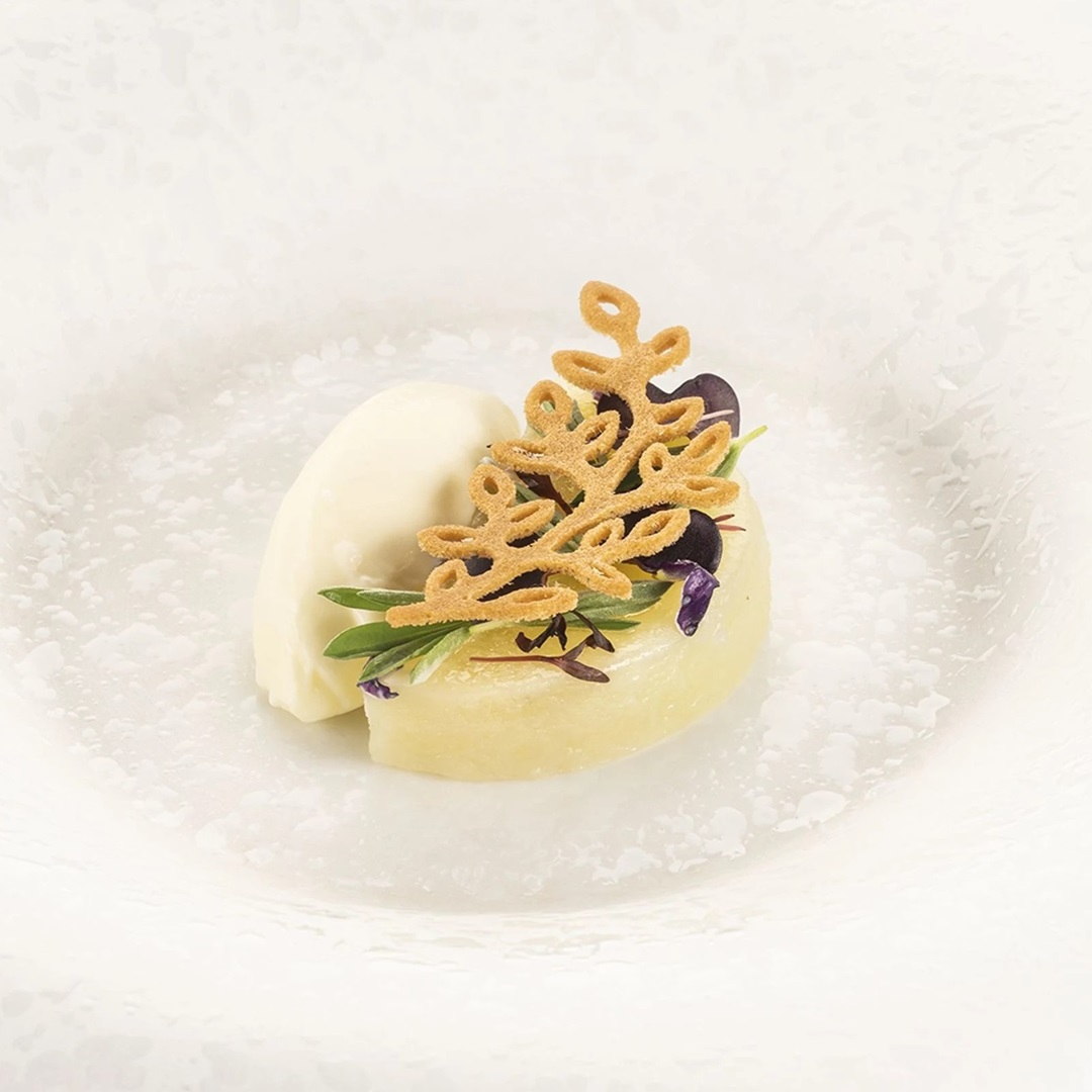 silikomart-eden-siliconen-patisserievorm-24-vaks