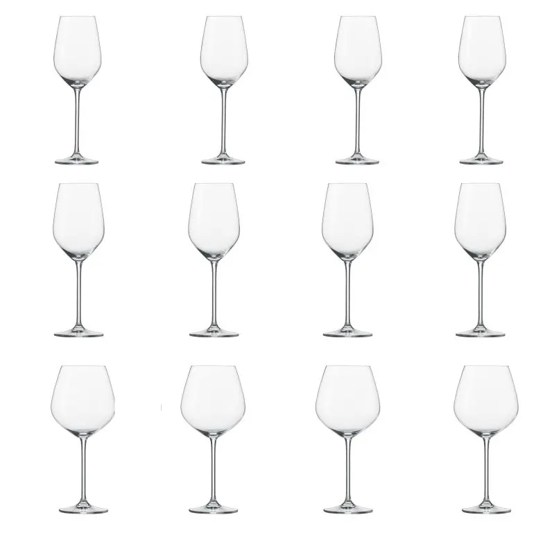 schott-zwiesel-fortissimo-glazenset-12-delig2.jpg