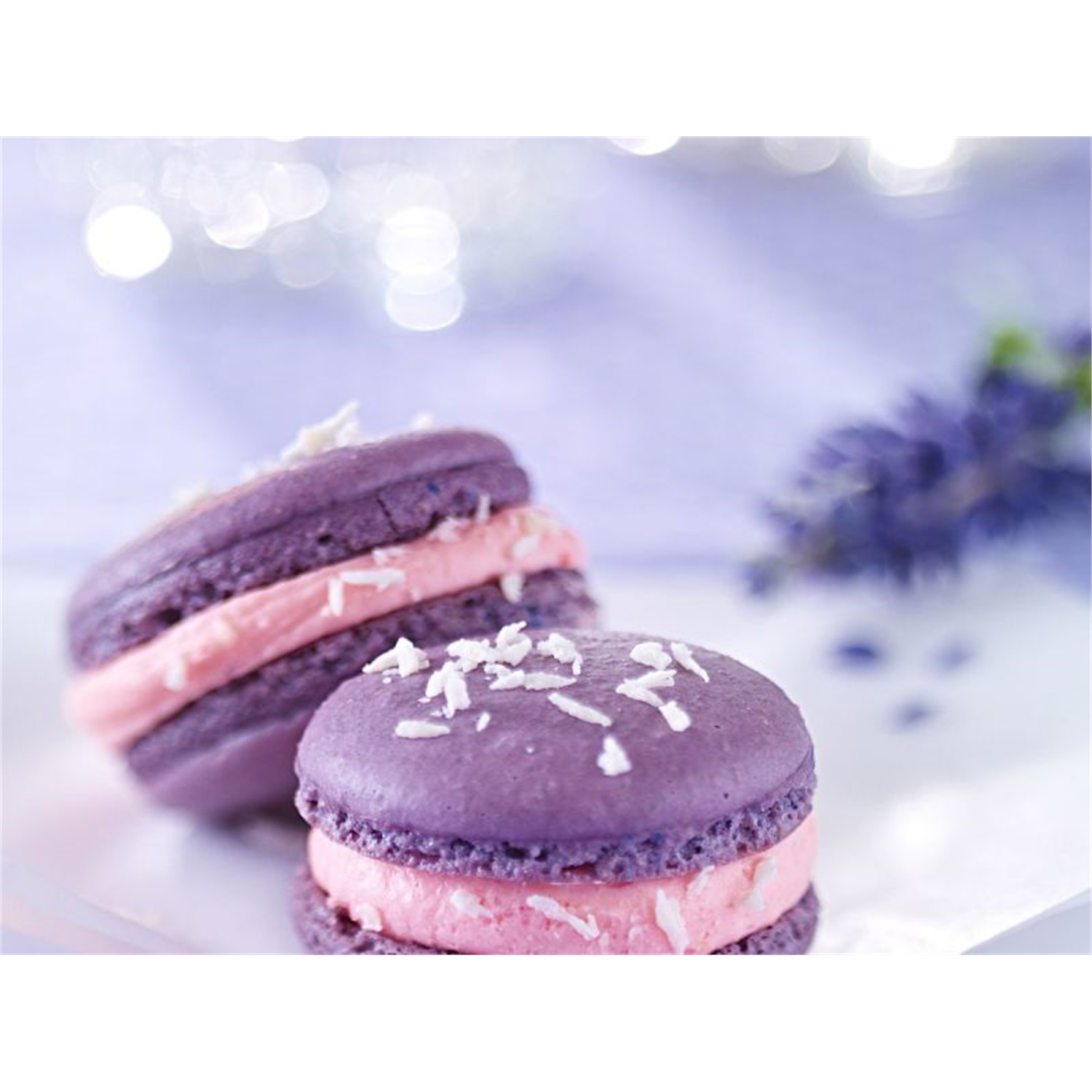 birkmann-macarons-bakmat-32-vaks