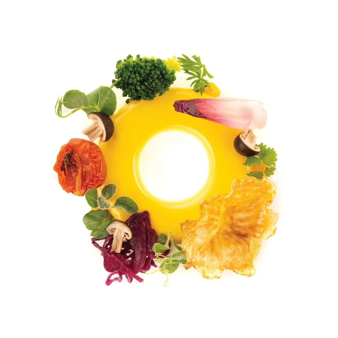 silikomart-cerchio-30-siliconen-patisserievorm-9-vaks