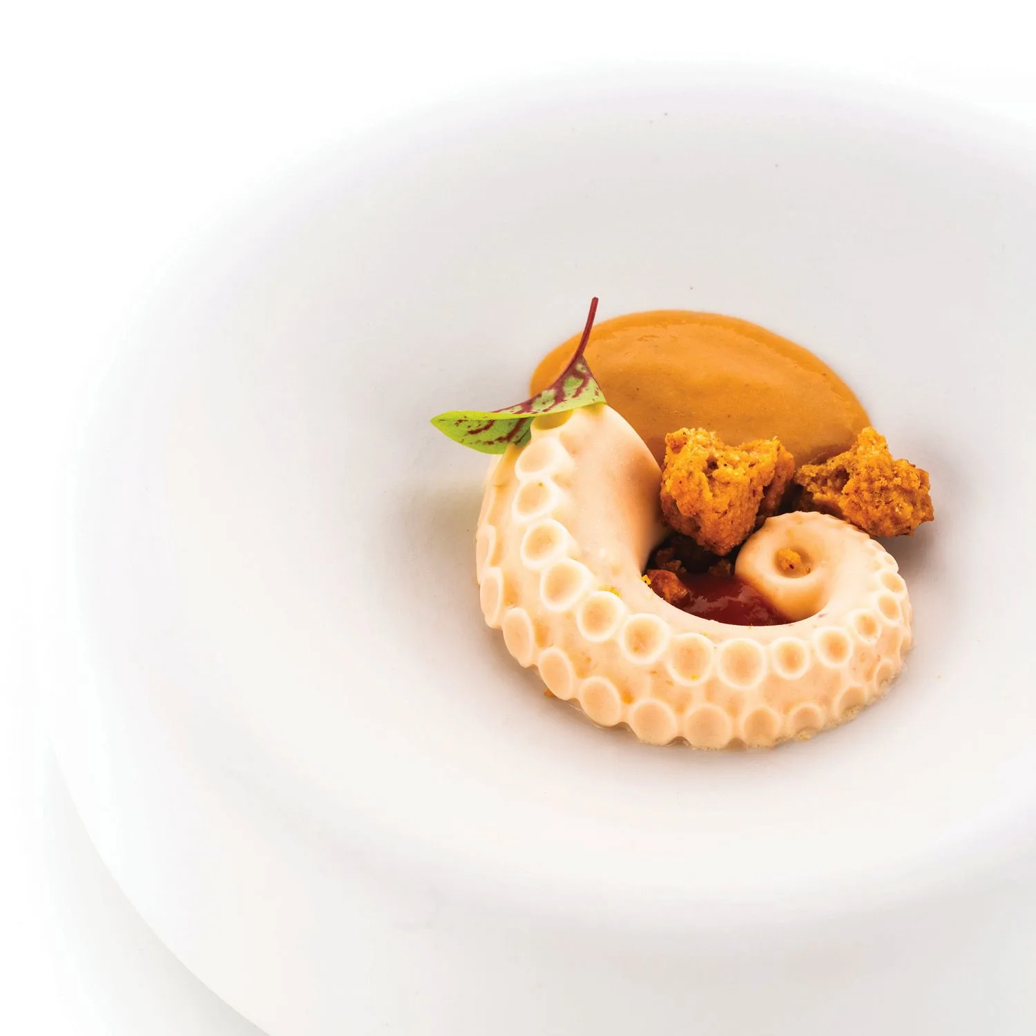 silikomart-polpo-20-siliconen-patisserievorm-12-vaks_3webp