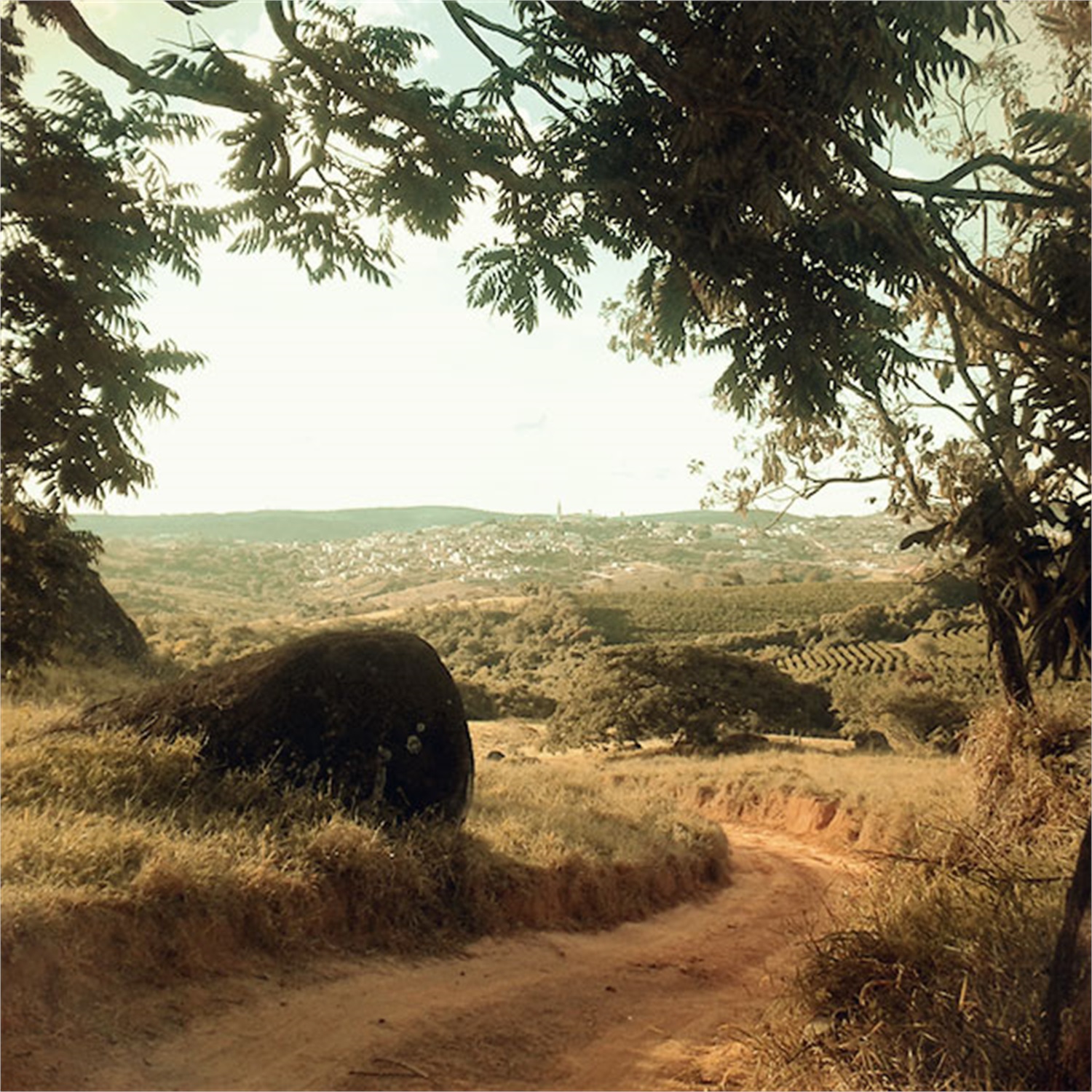 single-estate-brazilie-campo-alegre-koffiebonen-espresso-025kg