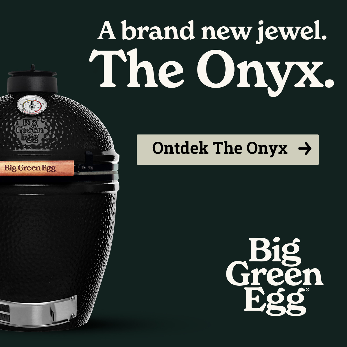 2026_09 BigGreenEgg - Onyx_DisplayBanners_250x250px_NL