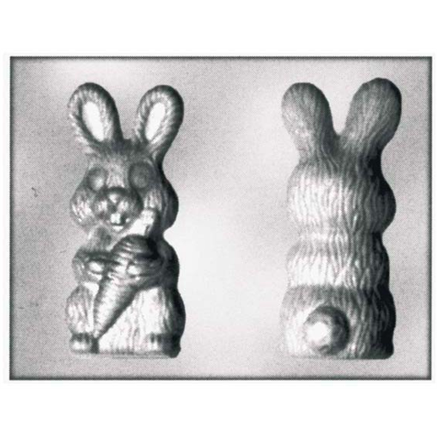 silikomart rabbit carrot chocoladevorm 902346 2 vaks