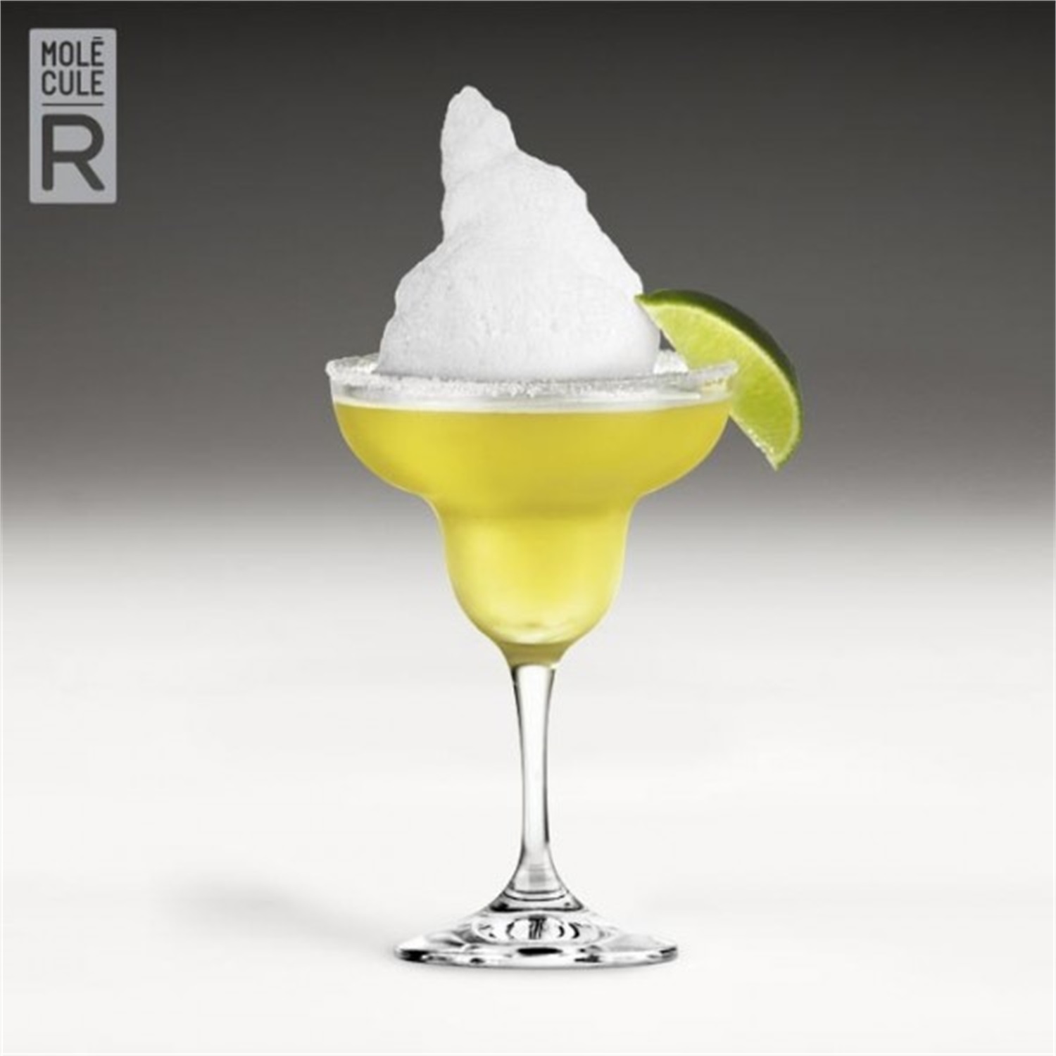 molecule-r-r-evolution-margarita-kit