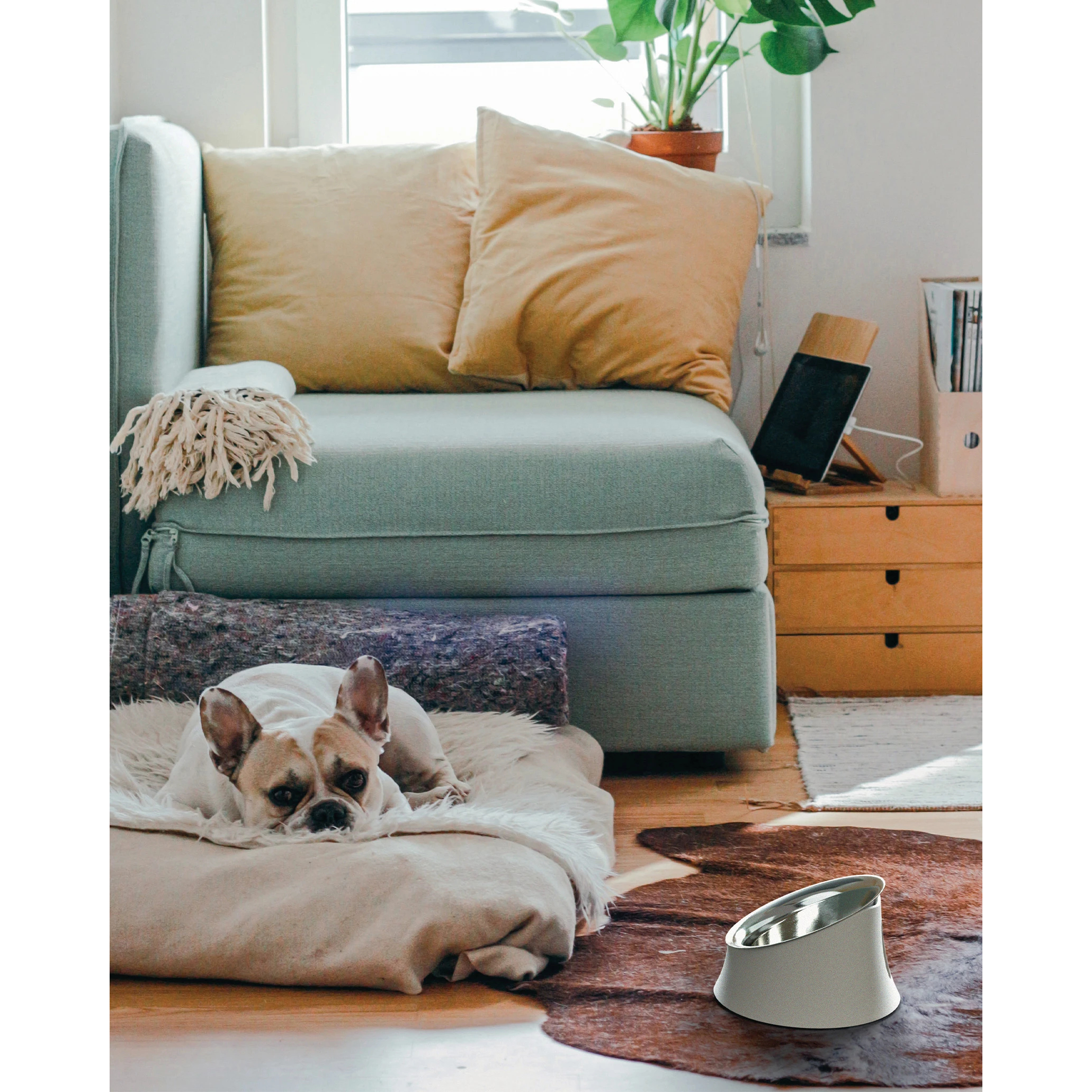 alessi-wowl-hondenvoerbak-bm1321-b-05l-zwart_30