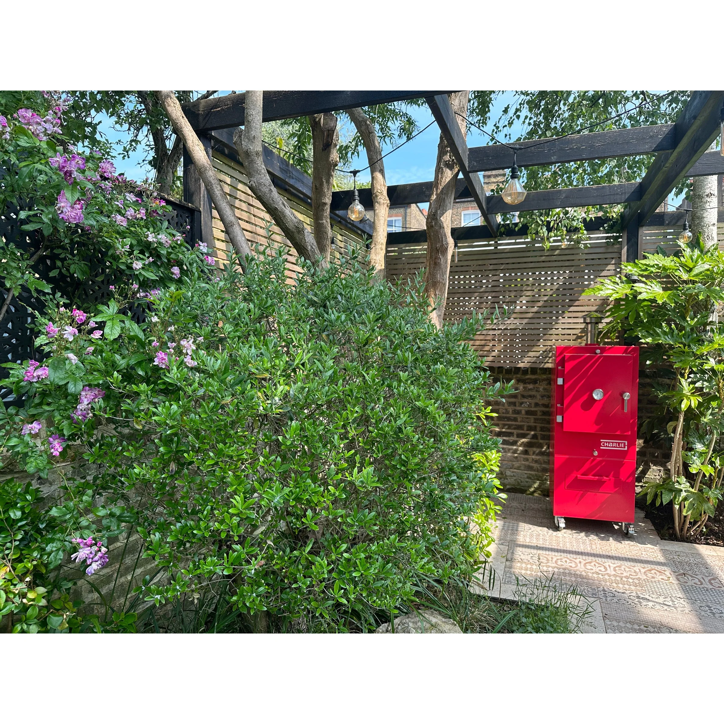 charlie-charcoal-oven-rhubarb_5webp