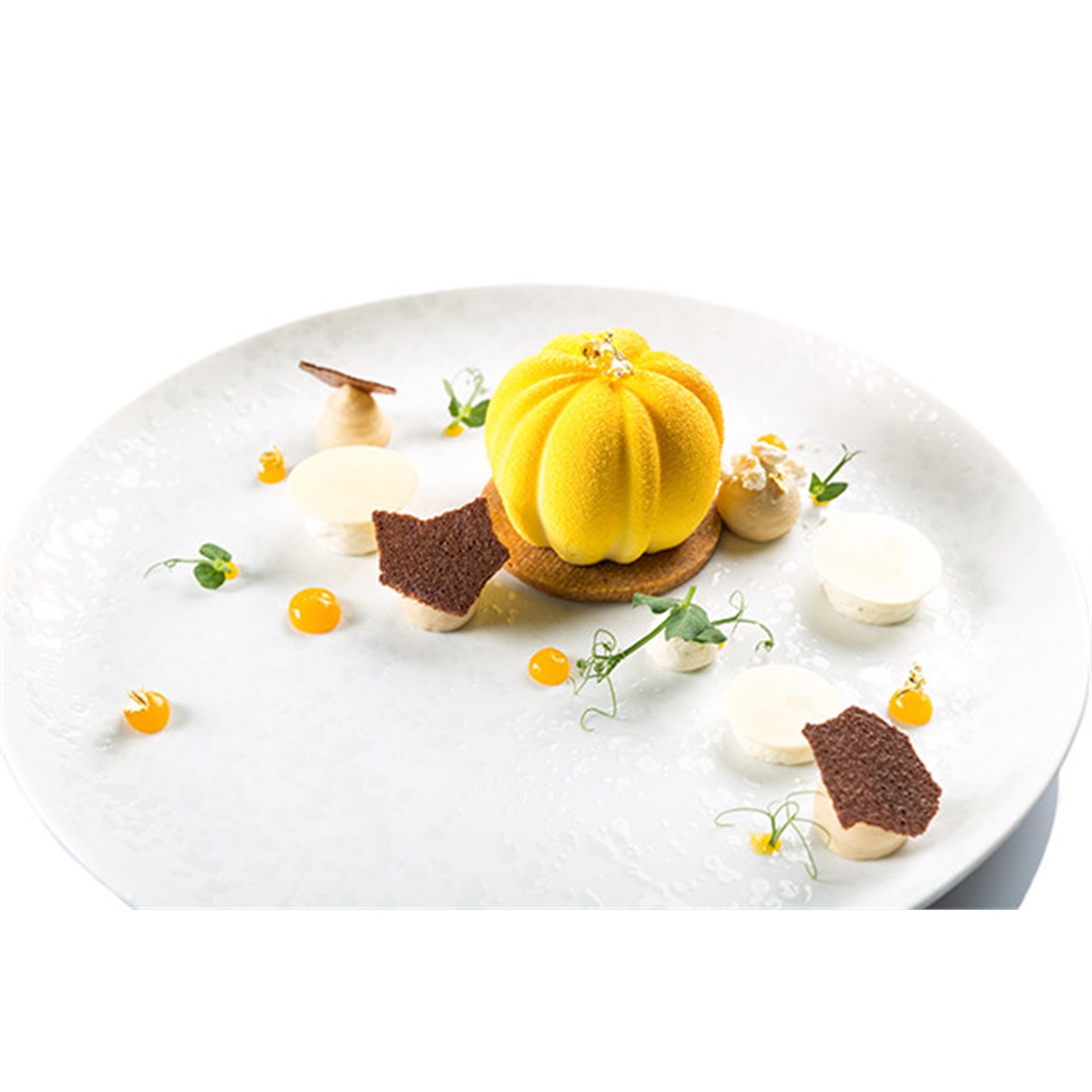 silikomart-modern-single-portions-bloom-120-6-vaks