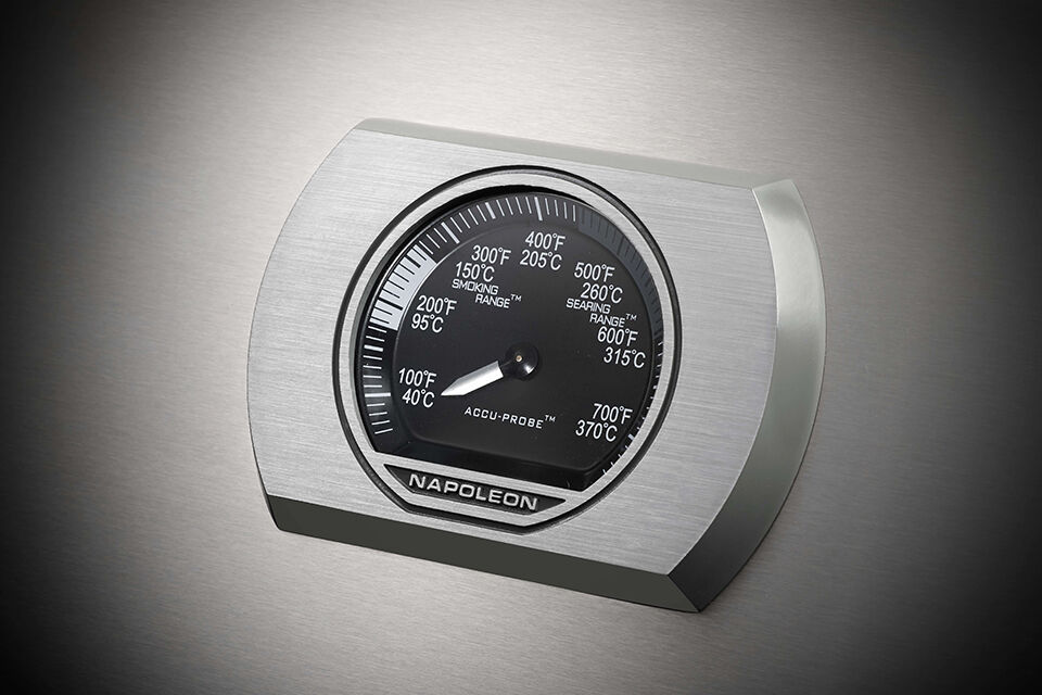 napoleon-rogue-se-625-gasbarbecue-met-rvs-roosters-rvs